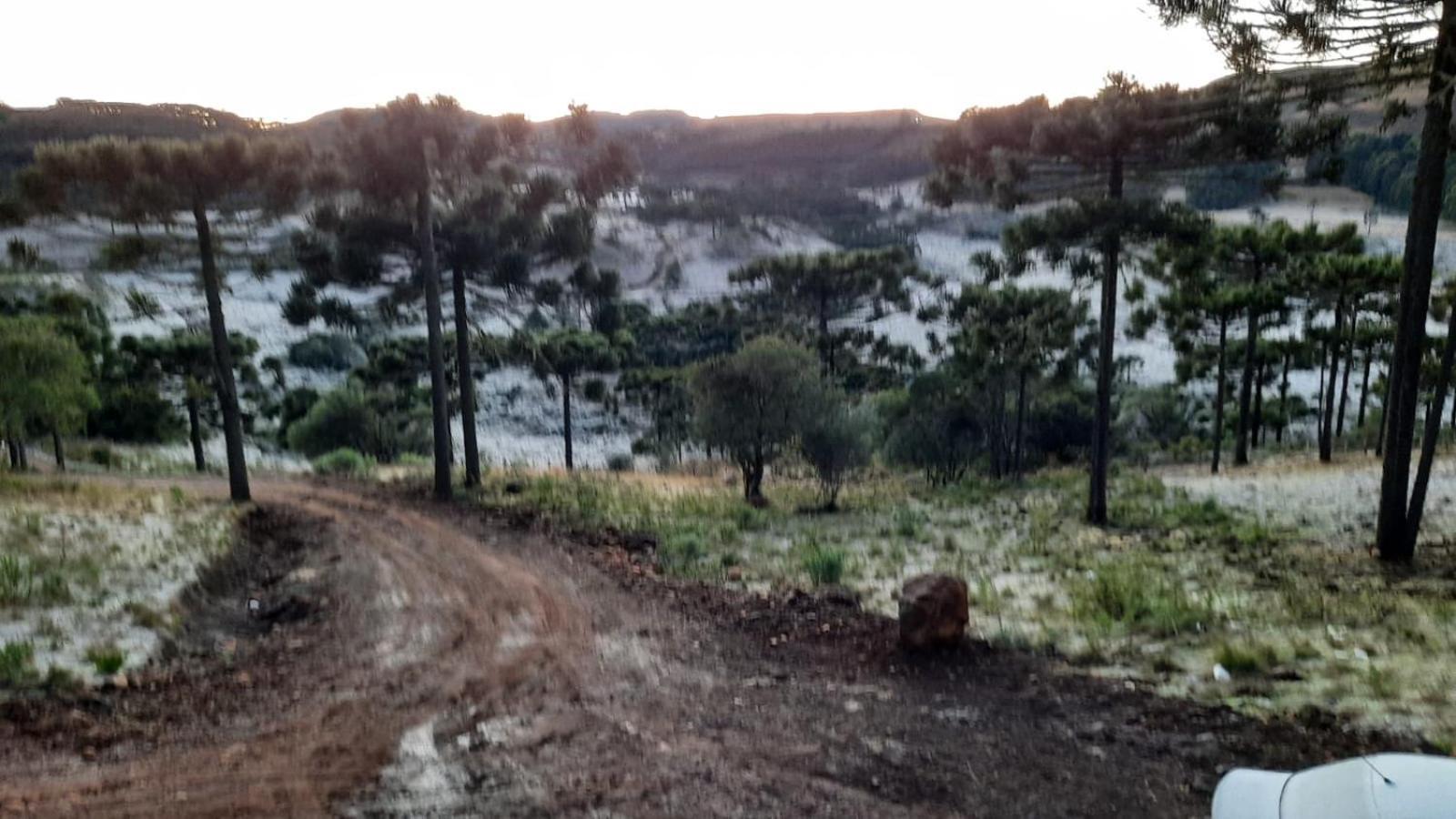 Monte Alegre